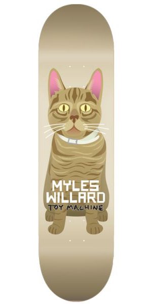 toy-machine-myles-willard-cat-2024